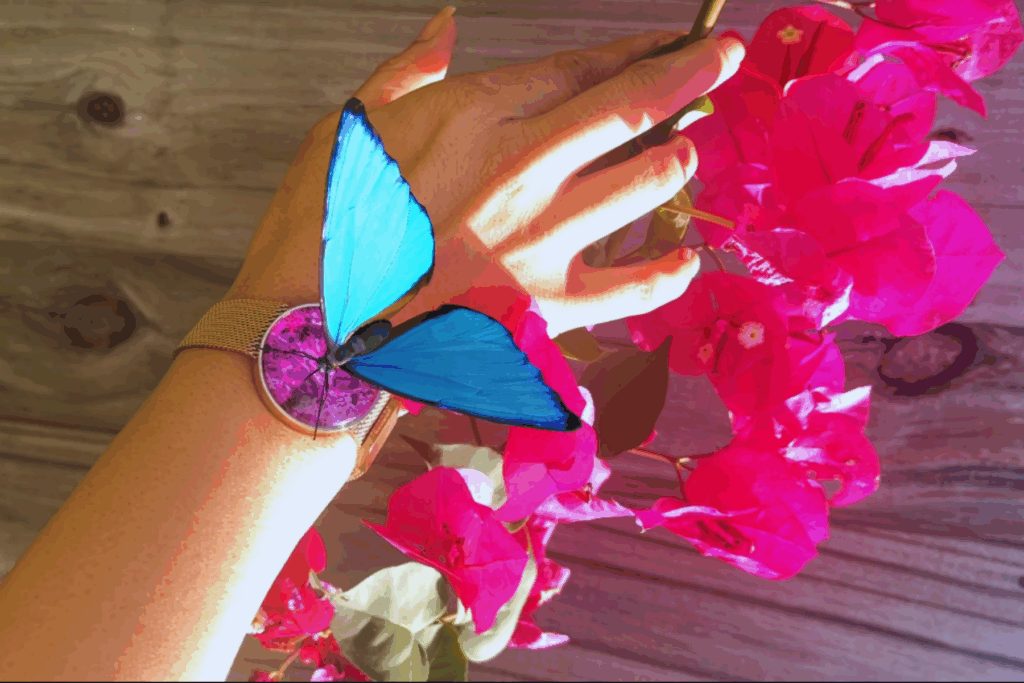 GemJoy Jewelry Comes to Life Through the Magic of Augmented Reality